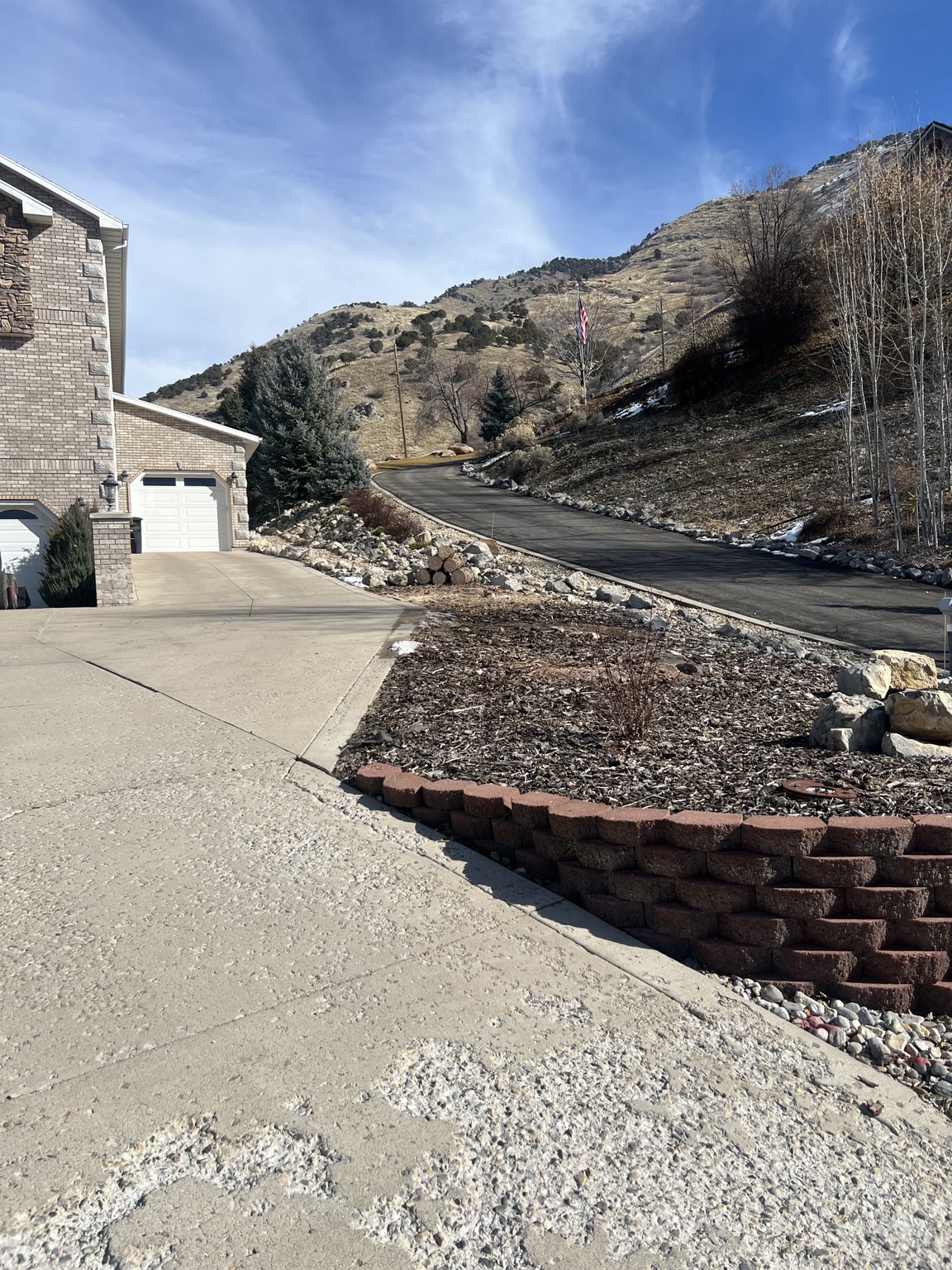 Driveway area after evergreen cleanup