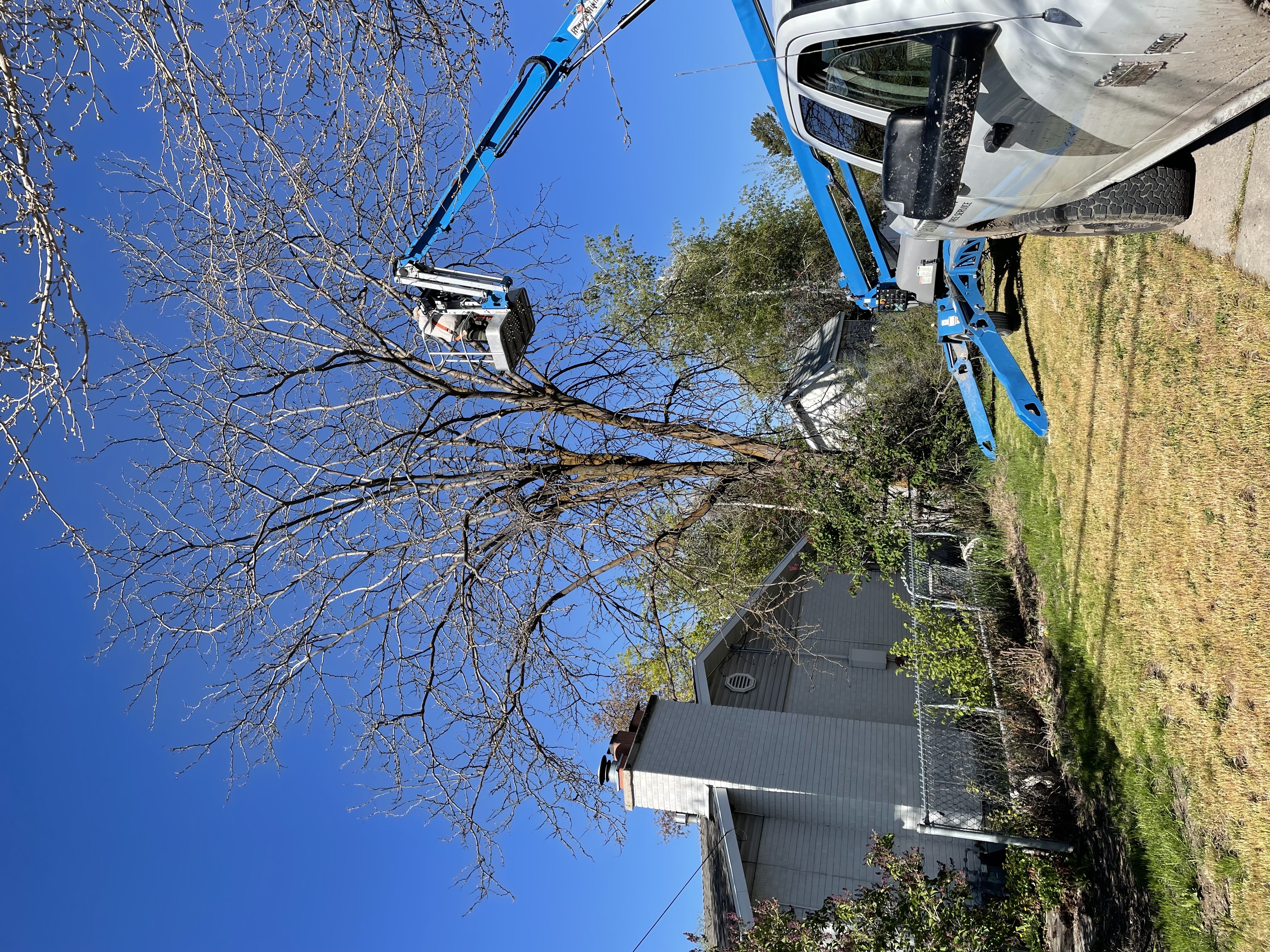 Lift used for tree trimming near a home